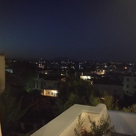 Villa Metaxa Spétses Dış mekan fotoğraf