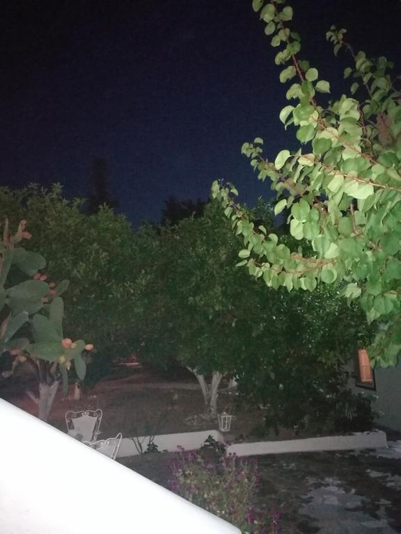 Villa Metaxa Spétses Dış mekan fotoğraf