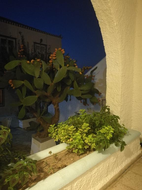 Villa Metaxa Spétses Dış mekan fotoğraf